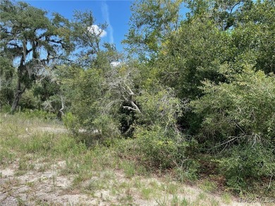 AWESOME LAKE FRONT PROPERTY ON A BIT LESS THAN 1/2 ACRE (0.41 - photo 7