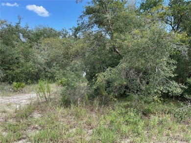 AWESOME LAKE FRONT PROPERTY ON A BIT LESS THAN 1/2 ACRE (0.41 - photo 8