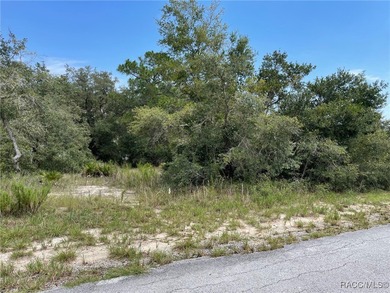 AWESOME LAKE FRONT PROPERTY ON A BIT LESS THAN 1/2 ACRE (0.41 - photo 9