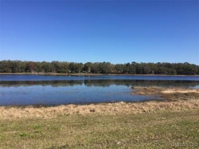 AWESOME LAKE FRONT PROPERTY ON A BIT LESS THAN 1/2 ACRE (0.41 - photo 10