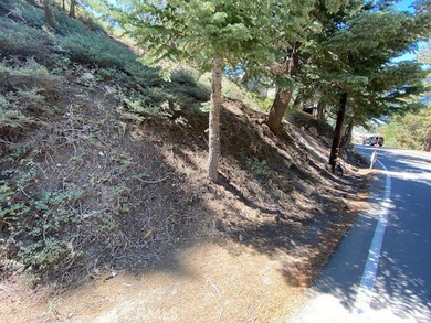 Residential mountain lot located in the picturesque community of - photo 11