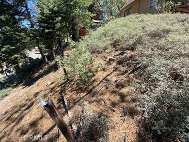 Residential mountain lot located in the picturesque community of - photo 13