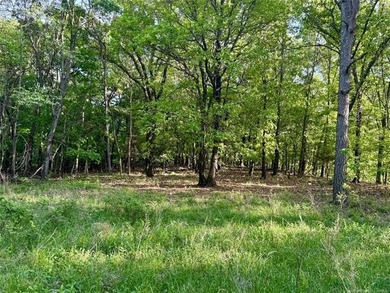 This isn't just land-it's the kind of place people hold onto for - photo 31