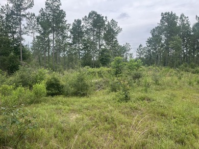 Additional listing photo 2