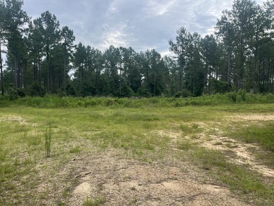 Additional listing photo 4