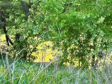This isn't just land-it's the kind of place people hold onto for - photo 39