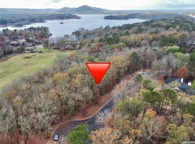 Lake Hamilton Acreage For Sale in Hot Springs Arkansas