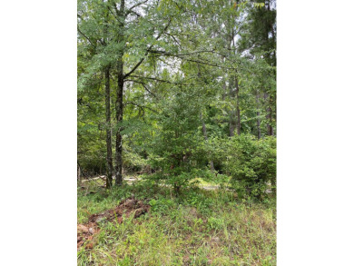 Lake Sinclair Lot For Sale in Sparta Georgia