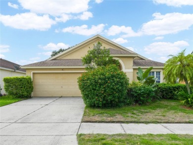 (private lake, pond, creek) Home For Sale in Riverview Florida