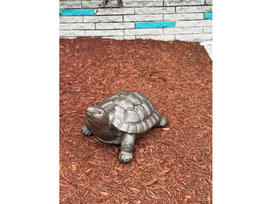 Move-in condition! *X* Flood Zone! Pet Area - You can have pets - photo 3
