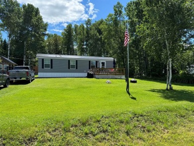 Portage Lake Home For Sale in Portage Lake Maine