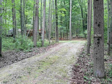 Enjoy your own Up North getaway on this 0.33-acre recreational - photo 10