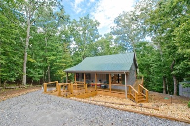 Lake Home For Sale in Jasper, Georgia