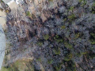 Lake Texoma Lot For Sale in Gordonville Texas