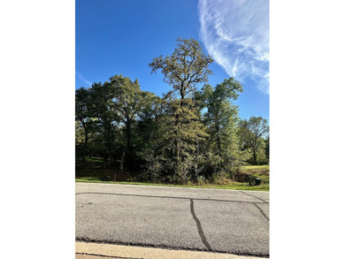 Great interior lot in desired subdivision of Annadale. A part of - photo 4
