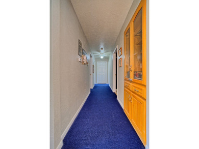 TURNKEY WATERFRONT on 2 pristine acres! This FULLY FURNISHED - photo 31