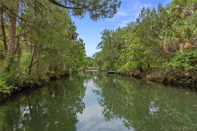 Tucked away at the end of a quiet private road, this elevated - photo 40