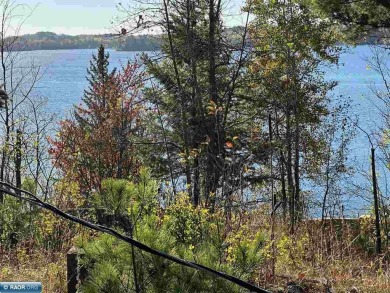 Lake Vermilion Lot For Sale in Cook Minnesota