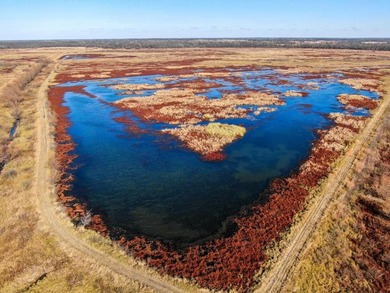 This riverfront gem is a flat-out fantastic waterfowl hunting - photo 3