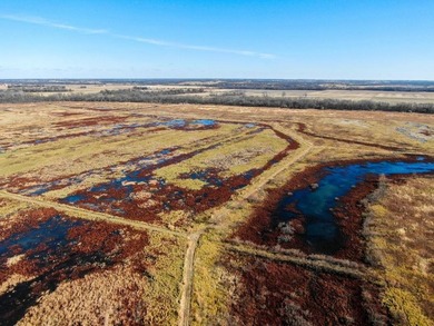 This riverfront gem is a flat-out fantastic waterfowl hunting - photo 4