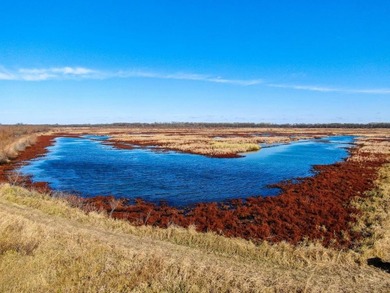 This riverfront gem is a flat-out fantastic waterfowl hunting - photo 5