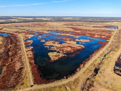 This riverfront gem is a flat-out fantastic waterfowl hunting - photo 7