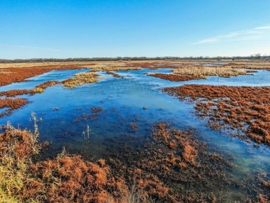 This riverfront gem is a flat-out fantastic waterfowl hunting - photo 8