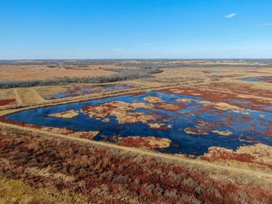 This riverfront gem is a flat-out fantastic waterfowl hunting - photo 9