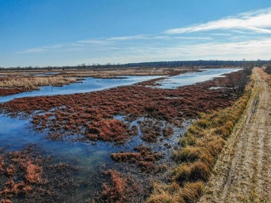 This riverfront gem is a flat-out fantastic waterfowl hunting - photo 10