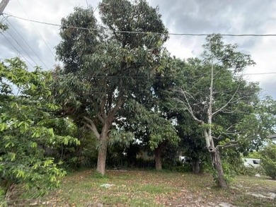 Rare opportunity to own a home on an oversized 0.28-acre lot in - photo 13