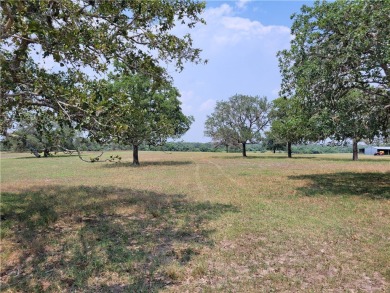 Lake Lot For Sale in Goliad, Texas