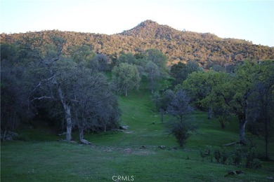 (private lake, pond, coastal) Acreage For Sale in Mariposa California