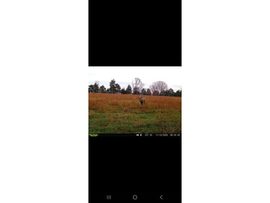 This 158 m/l acre property offers a combination of hunting - photo 50