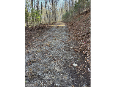 Lake Burton Lot For Sale in Tiger Georgia