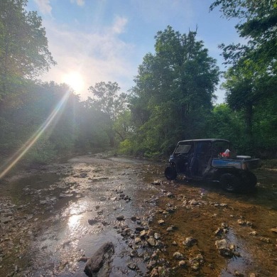 Table Rock Lake - Boone County Lot For Sale in Omaha Arkansas
