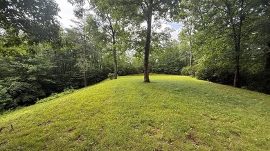 Beautiful lot located in a gorgeous small gated subdivision with - photo 1