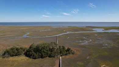 Beautiful 713-acre Oceanside Waterfront Farm & Forest - photo 11