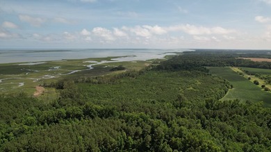 Beautiful 713-acre Oceanside Waterfront Farm & Forest - photo 13