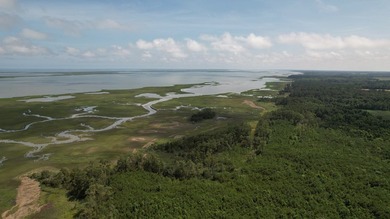 Beautiful 713-acre Oceanside Waterfront Farm & Forest - photo 14