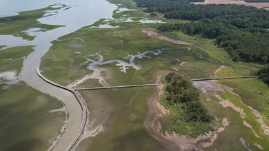 Beautiful 713-acre Oceanside Waterfront Farm & Forest - photo 15