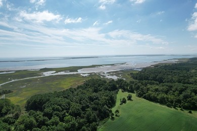 Beautiful 713-acre Oceanside Waterfront Farm & Forest - photo 17