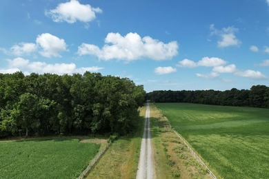 Beautiful 713-acre Oceanside Waterfront Farm & Forest - photo 18