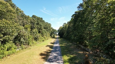 Beautiful 713-acre Oceanside Waterfront Farm & Forest - photo 19
