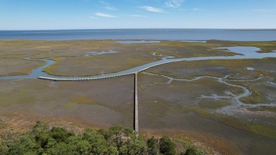 Beautiful 713-acre Oceanside Waterfront Farm & Forest - photo 20