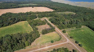 Beautiful 713-acre Oceanside Waterfront Farm & Forest - photo 22