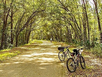 ENJOY CONVENIENT, WORRY FREE FLORIDA LIVING in the welcoming 55+ - photo 28
