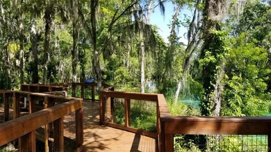 ENJOY CONVENIENT, WORRY FREE FLORIDA LIVING in the welcoming 55+ - photo 29