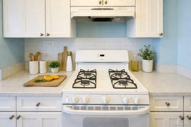 JUST LISTED! MOVE-IN READY 1 BEDROOM, 1 BATH CO-OP IN BRONX NY - photo 10