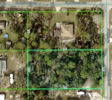 Welcome to your future ONE-ACRE homesite on Nuzum Road! A - photo 1