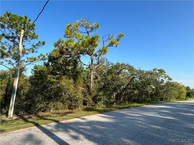 Welcome to your future ONE-ACRE homesite on Nuzum Road! A - photo 2